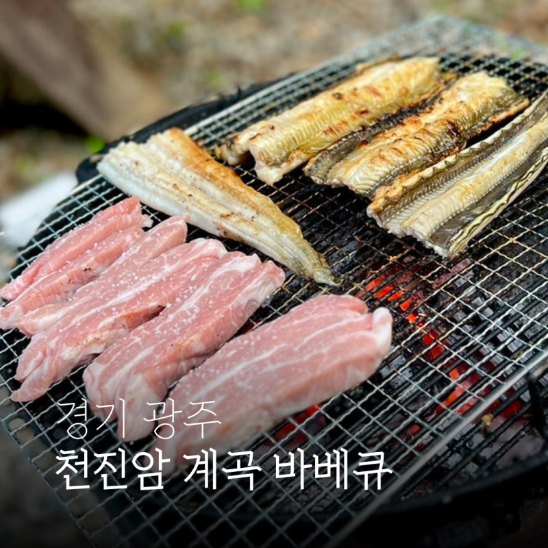 퇴촌 펜션 드리밍하우스 - 천진암계곡 앞 숲속 바베큐