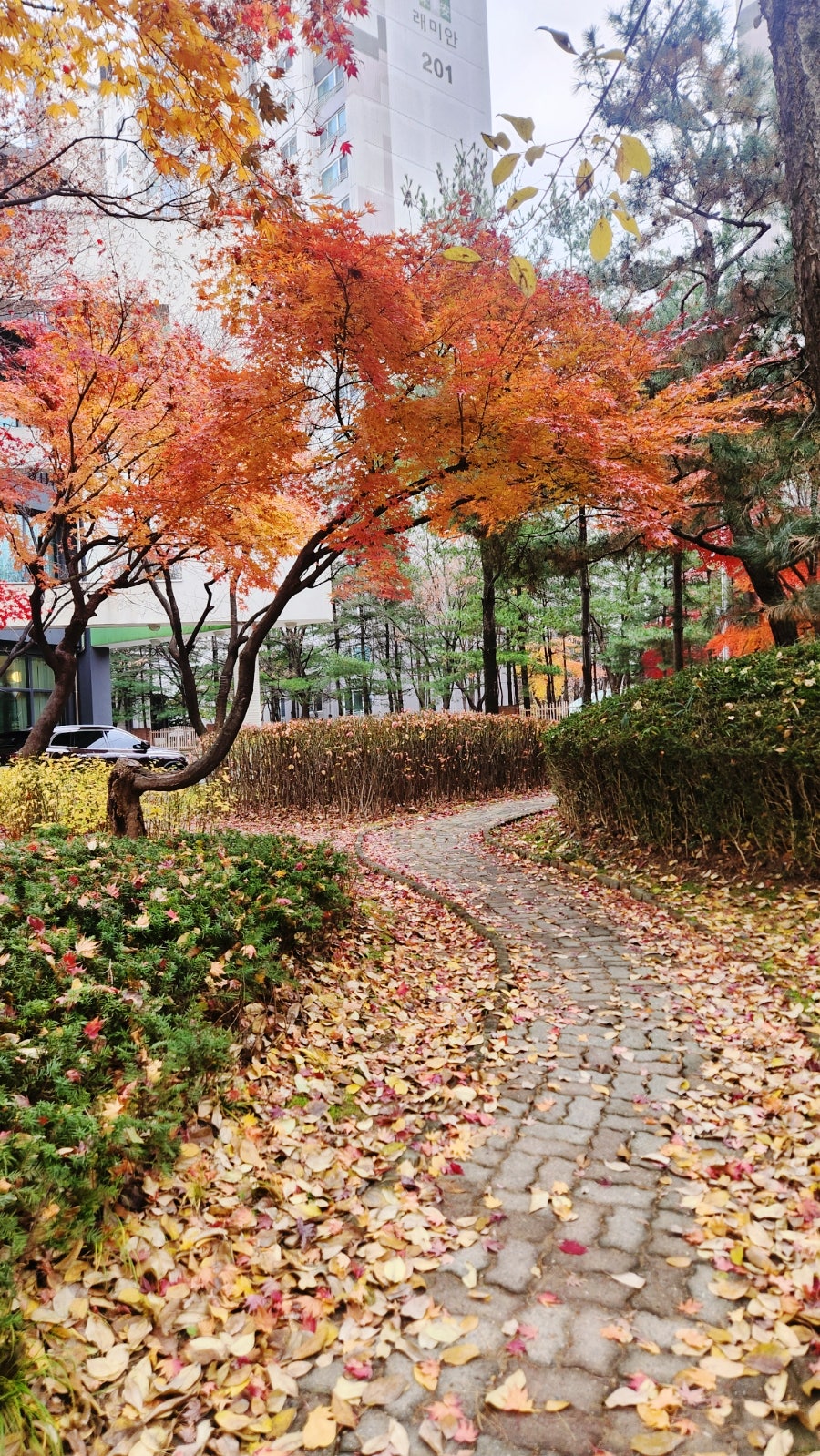몽소 용인점 사진 4