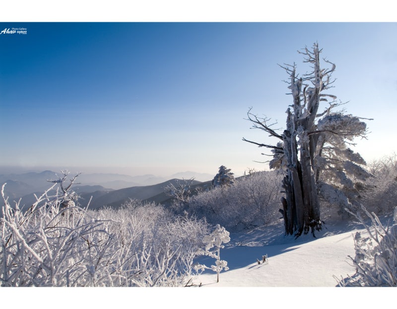 덕유산 눈꽃산행 - 겨울 설경사진
