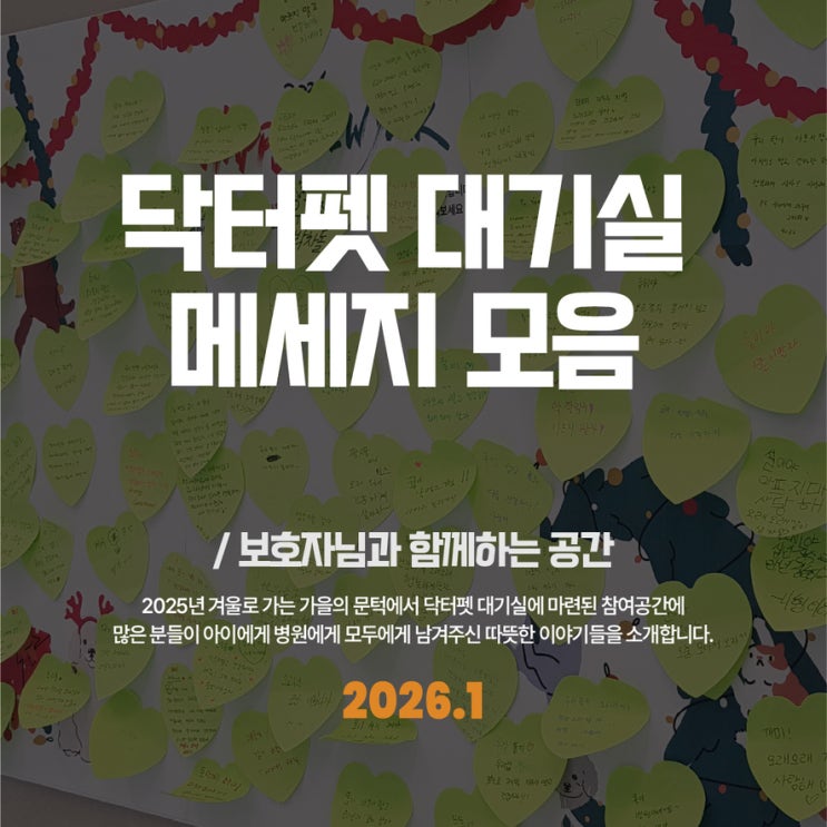  닥터펫동물의료센터 대기실 담벼락 메세지 모음 2026년 1월 부산 서면 24시 동물병원
