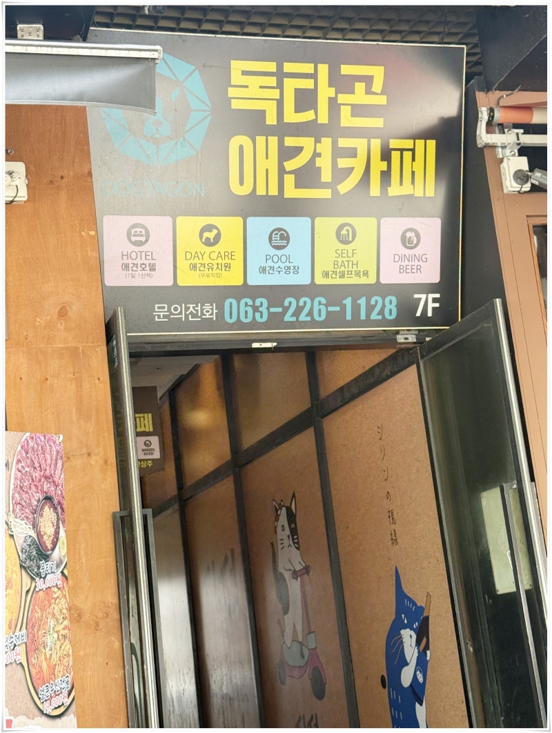 사진 5