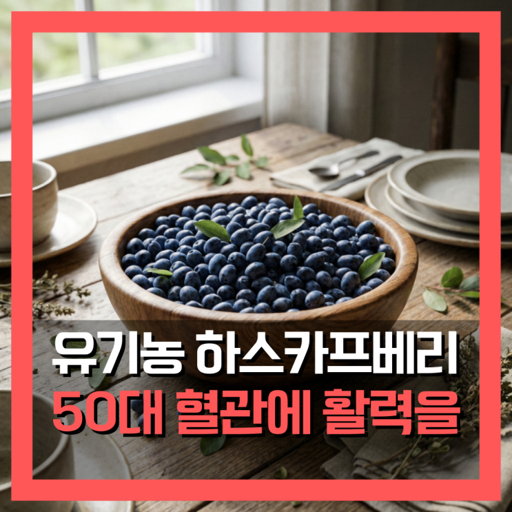  유기농하스카프베리 효능, 50대 혈관 2주만에 활력을