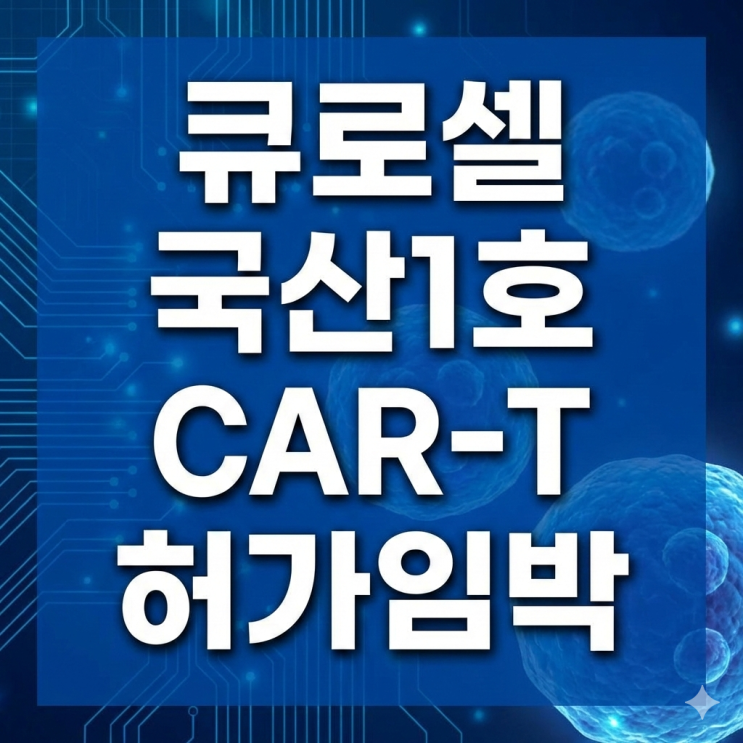  큐로셀 이 조금씩 스멀스멀 오르는 이유