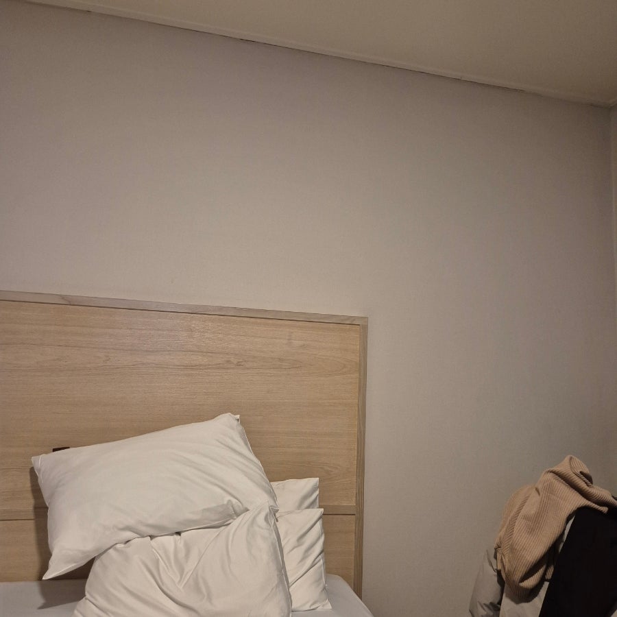 브라운도트호텔 공도점 사진 2