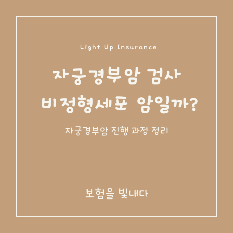 자궁경부암 전 단계 이형성증과 비정형세포 (ASC-US), 추적검사 기준 한번에 정리