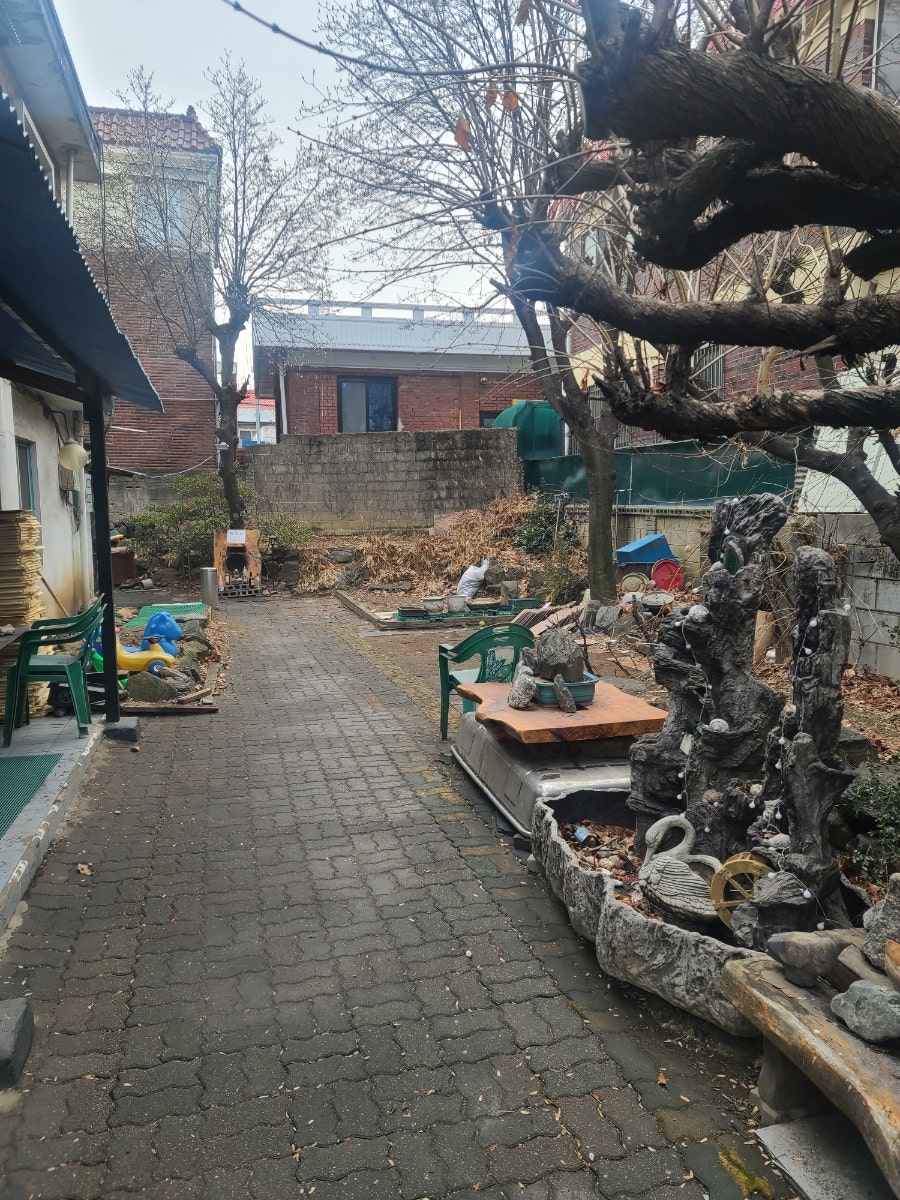 정원똥돼지 사진 5