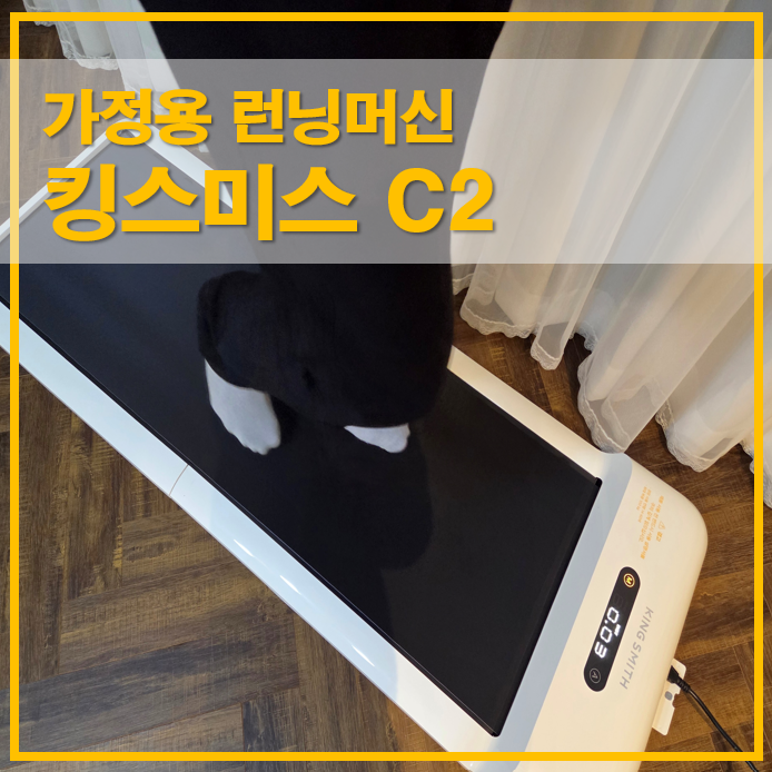  킹스미스 워킹패드 C2 사용 후기,현실적인 가정용 런닝머신 사용법