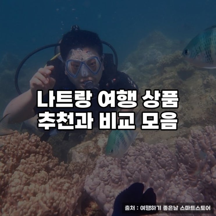  나트랑 여행 상품 추천과 비교 모음