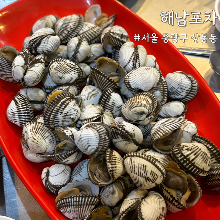  [서울 중랑] 동부시장 ‘해남포차’ 내돈내산, 몇십번째 방문 중인 찐 단골 포차