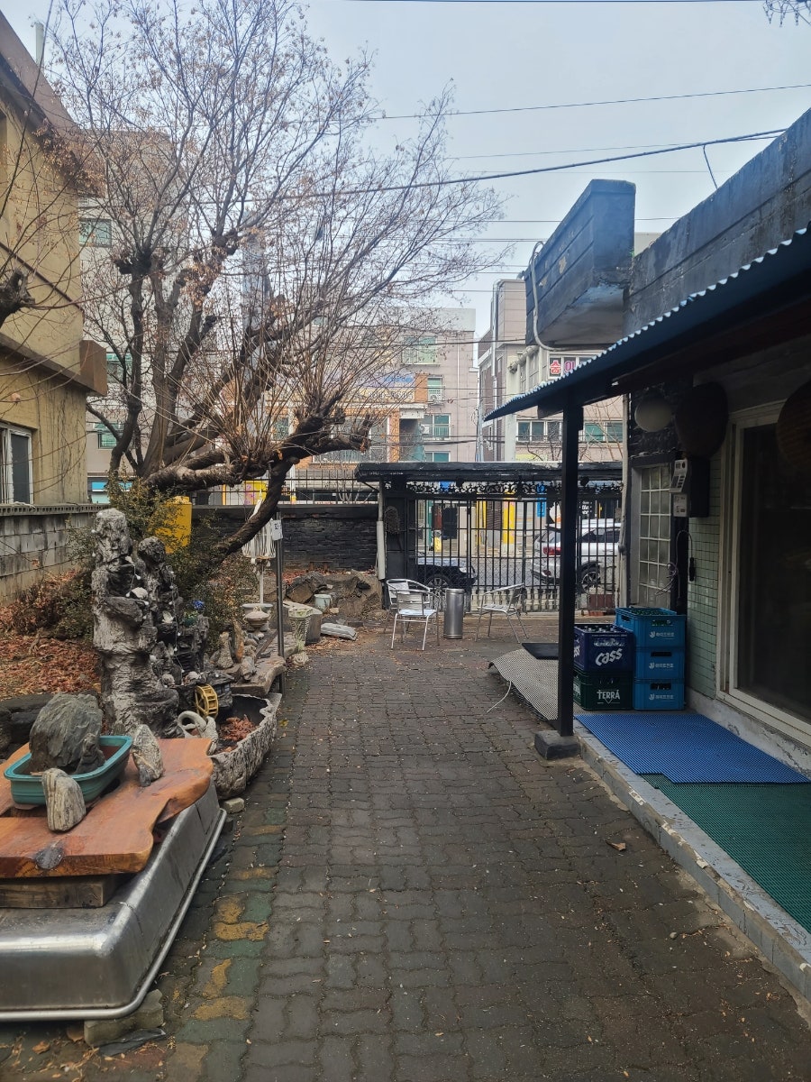 정원똥돼지 사진 4