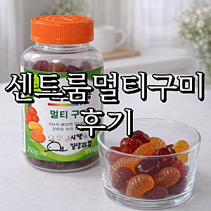 코스트코센트룸 멀티구미 후기