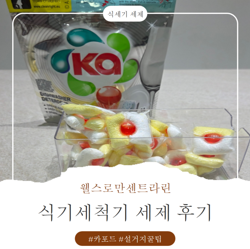 카포드 식기세척기 세제 후기｜설날 집안일, 올인원 식세기세제로 끝냈어요.