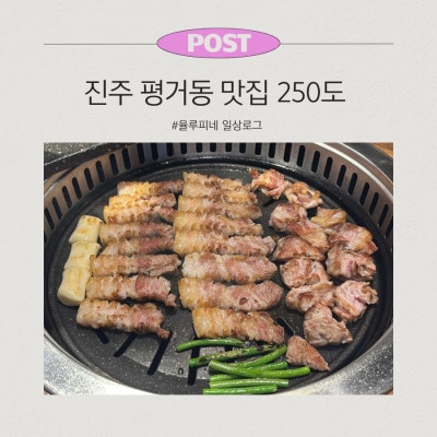 진주 평거동 삼겹살맛집 250도 구워주는집 회식하기 좋은 고기집
