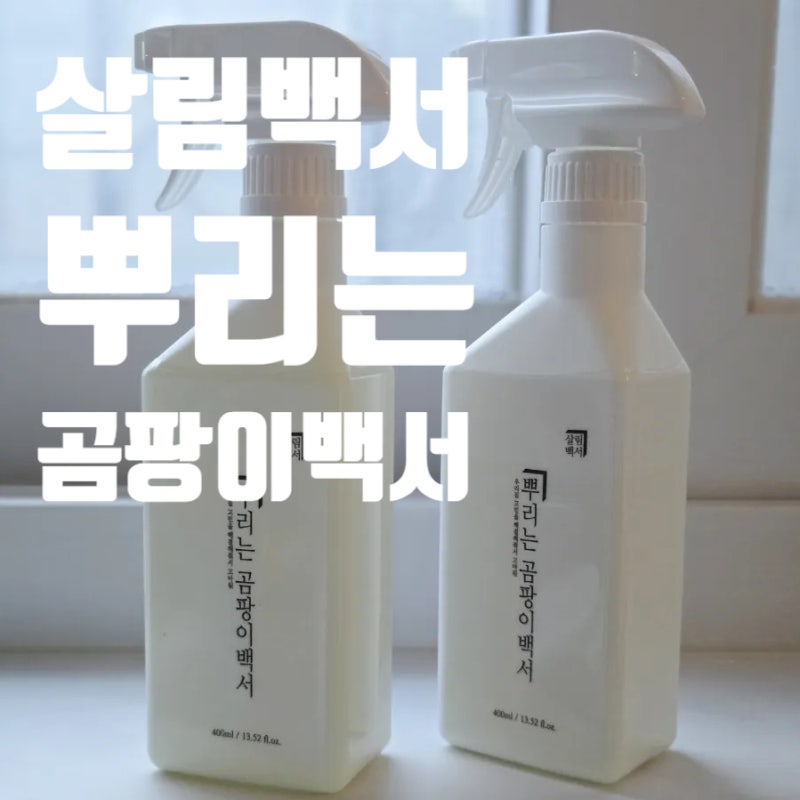 벽지 곰팡이 제거 : 살림백서 뿌리는곰팡이백서