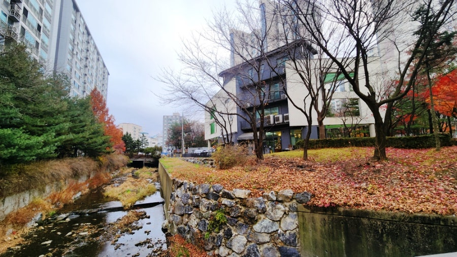 몽소 용인점 사진 3
