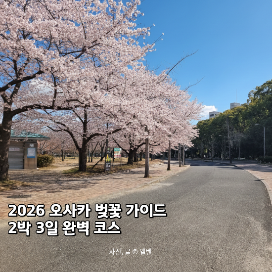  2026 오사카 벚꽃 여행 2박 3일 코스, 초보 여행자 루트 가이드