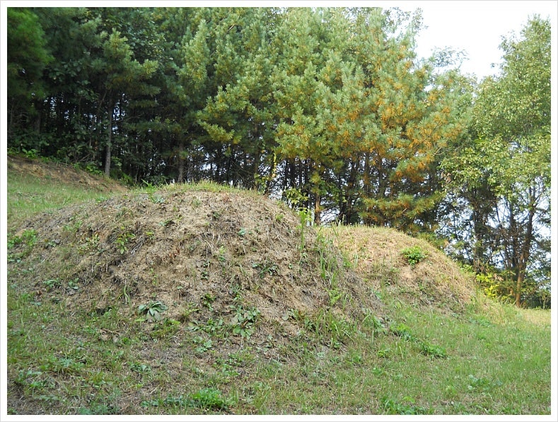 박달산 사진 6