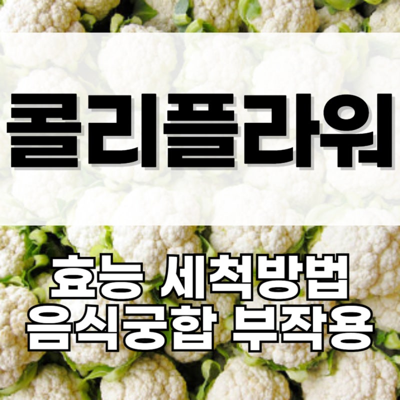 콜리플라워 효능 먹는법 세척 음식궁합