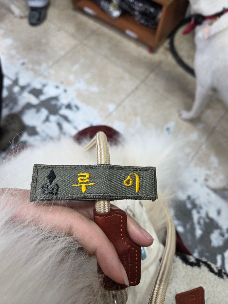 스테이도기 사진 4