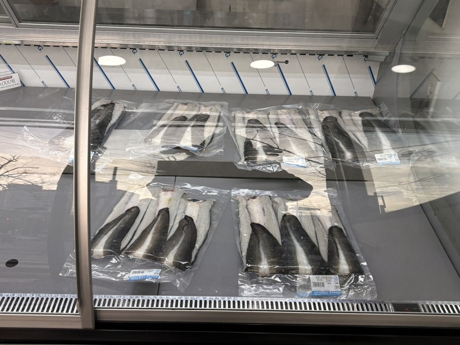 김경식민물장어 사진 5