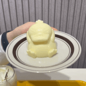 원주 OwO 카페 고라파덕 푸딩 귀여운 디저트 카페 후기