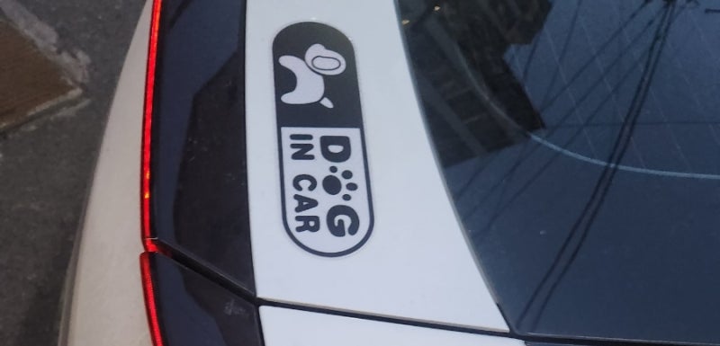 나랑갈펫