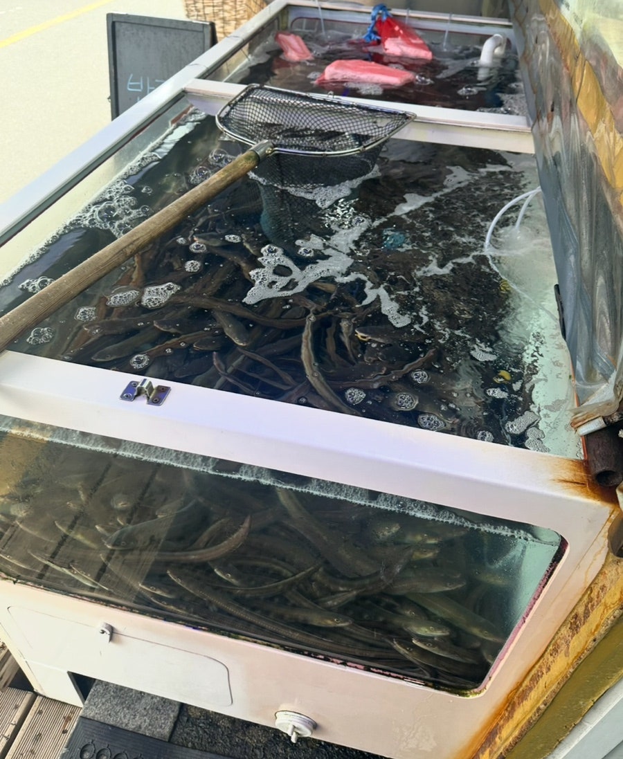 대성수산 사진 4