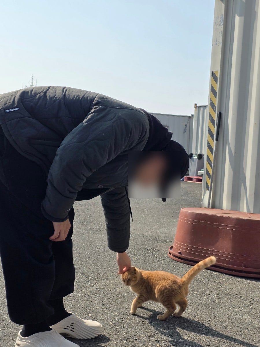 여의동칼국수 사진 3