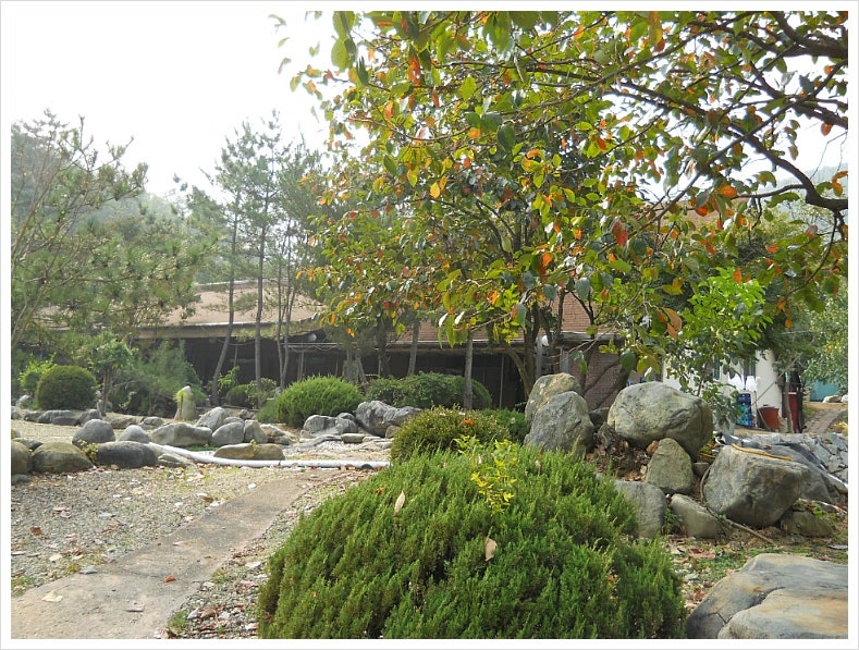 박달산 사진 3
