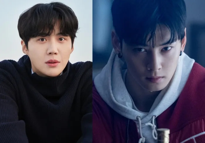  연예인 1인 기획사 탈세일까 절세일까? 차은우 김선호 사례로 본 합법적 절세와 변칙 탈세를 가르는 결정적 차이 3가지