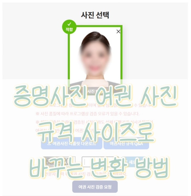 증명사진으로 여권 사진 규격 변환 (셀프 여권 촬영)
