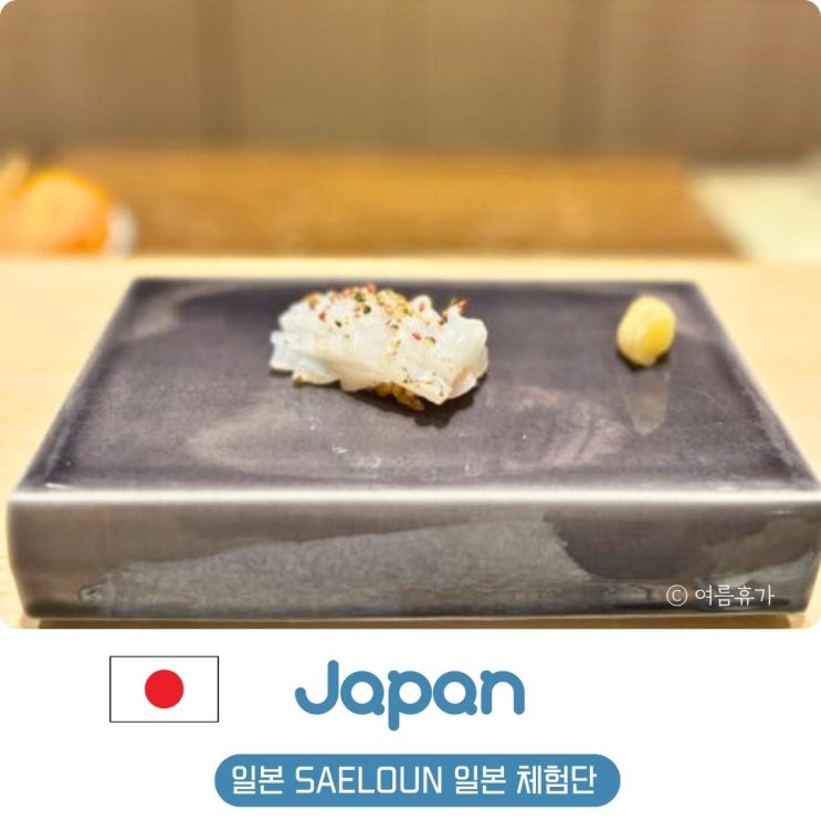  일본 도쿄 오사카 체험단 새로운 SAELOUN 이용 방법 후기 맛집