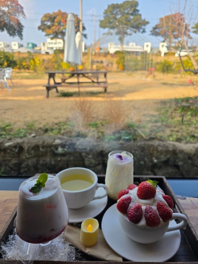 제주 남원 서귀포카페 <무량제주>