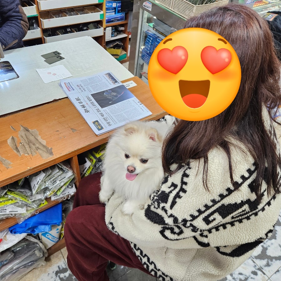 스테이도기 사진 3