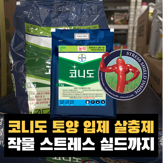바이엘 코니도 입제(이미다클로프리드 2%) 사용법 총정리 ✅ 진딧물·가루이 잡는 토양처리 ....