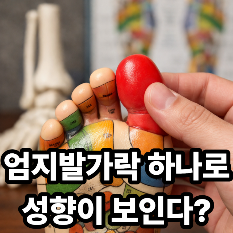  족상에서 엄지발가락이 중요한 이유  왜 가장 먼저 보는 걸까?