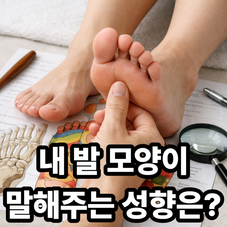  족상 보는 방법 제대로 배우기  발 모양으로 성향 읽는 법