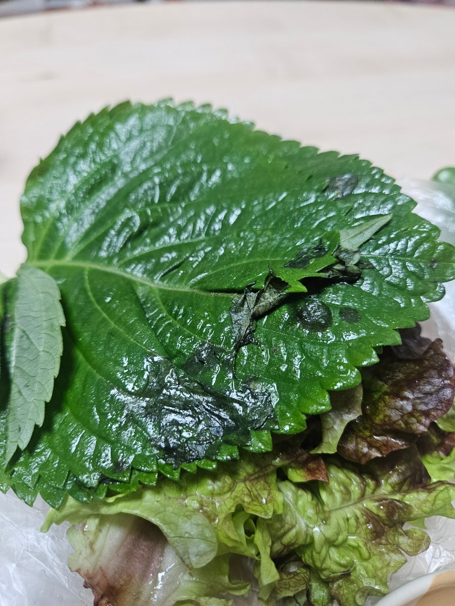 청년회포차 사진 5