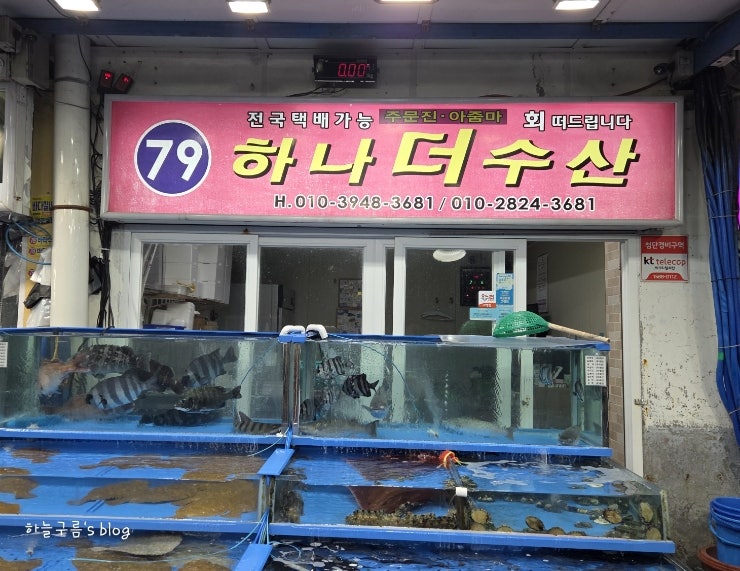 대천항수산시장 횟집 추천, 79번 하나더수산와 초장집 바다회센타
