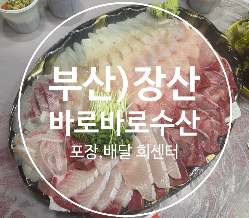[바로바로수산]해운대 좌동 장산 회포장 전문점 좌동재래시장 가성비 맛집 회센터
