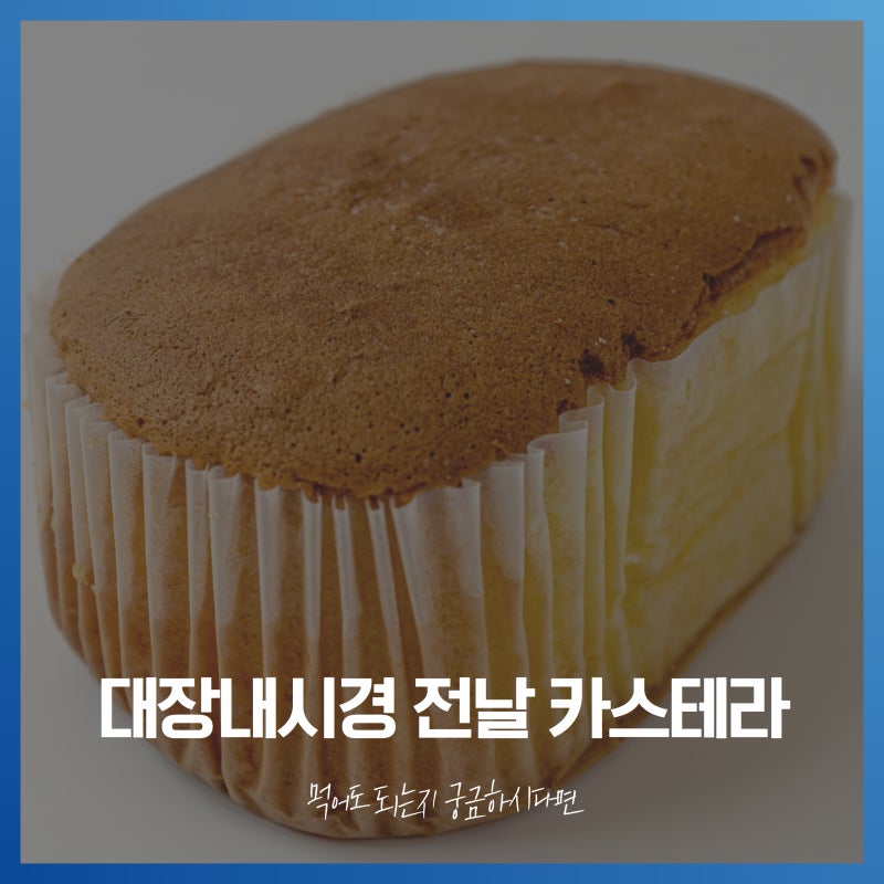 대장내시경 전날 카스테라 먹어도 되는지 궁금하시다면