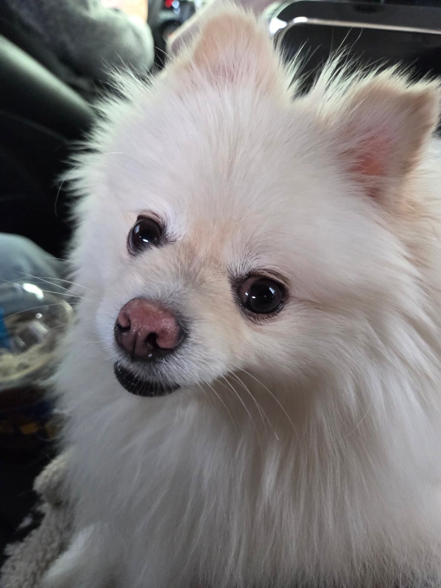 스테이도기 사진 1