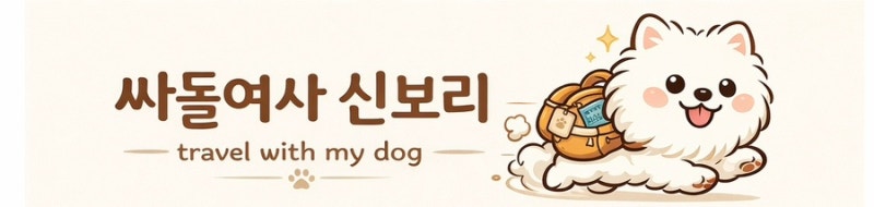 사진 6