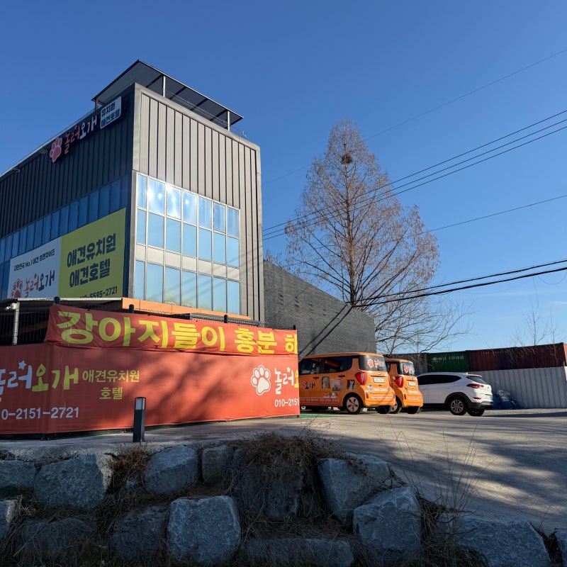 사진 8
