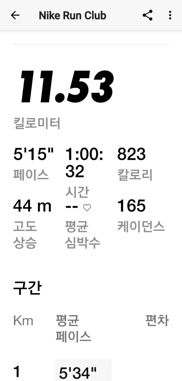 매일 러닝 달리기 조깅 챌린지 1650일차