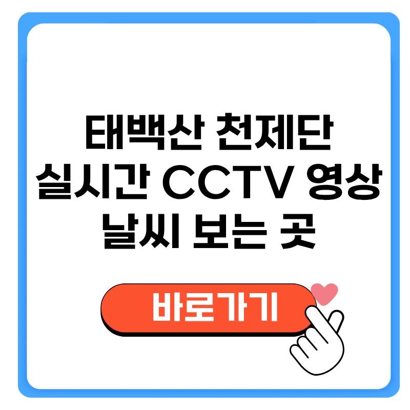 태백산 천제단 실시간 CCTV 영상 바로 날씨 보는 곳