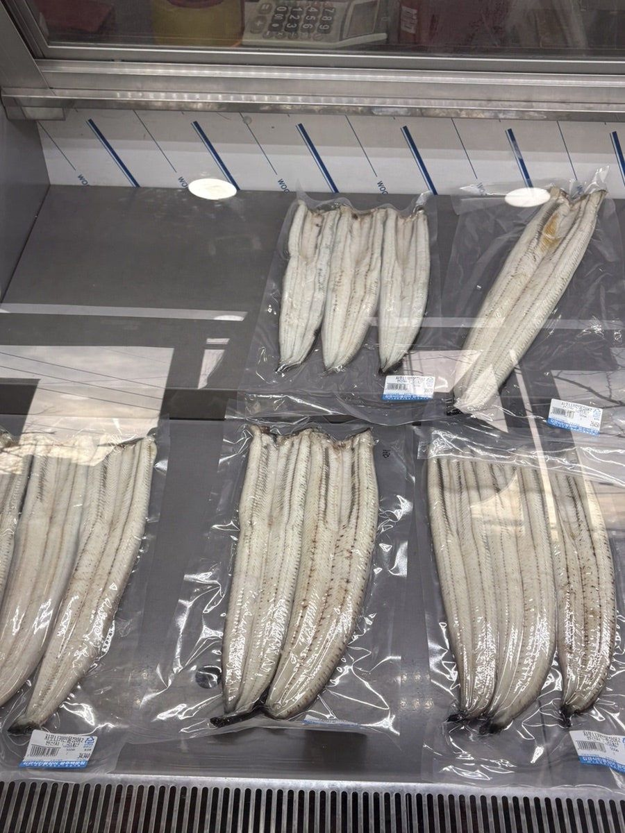김경식민물장어 사진 6