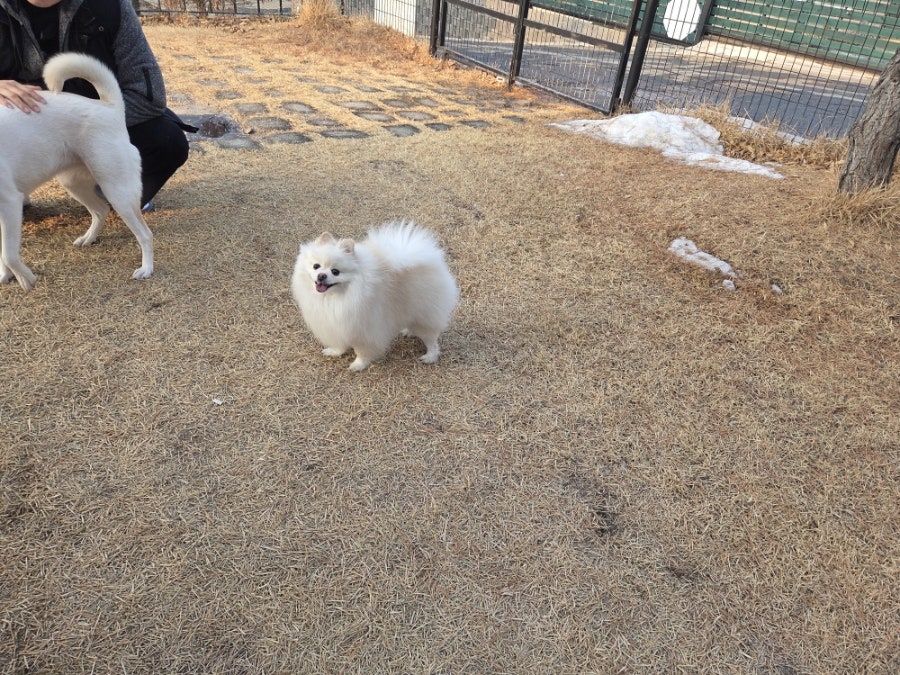 스테이도기 사진 5