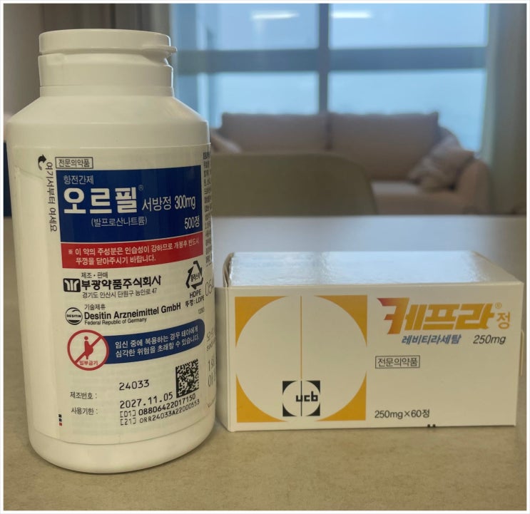  항경련제, 집중력에 대한 고민  학습 영향(오르필, 케프라)