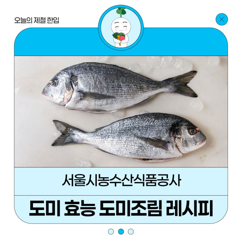 도미 효능과 도미조림 레시피